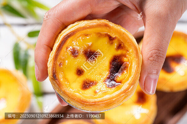 蛋撻