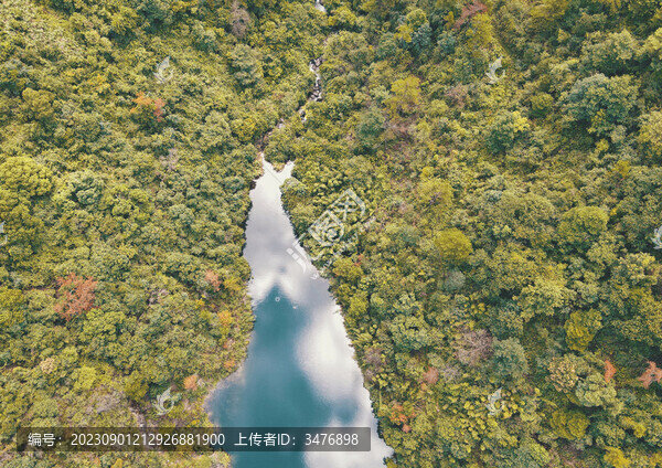大奇山水源保護(hù)地