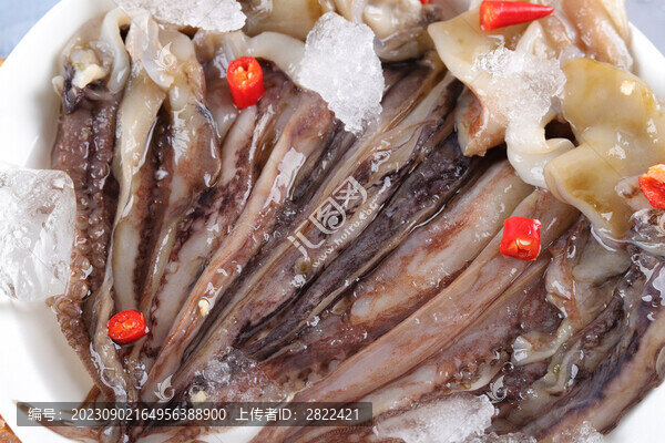 冰鮮魷魚二本足