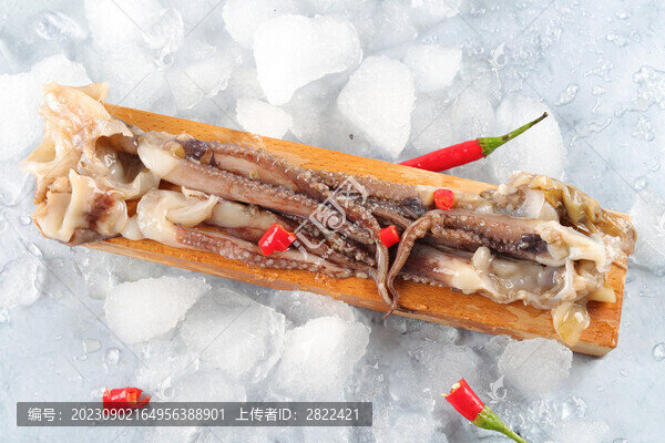 冰鮮魷魚二本足