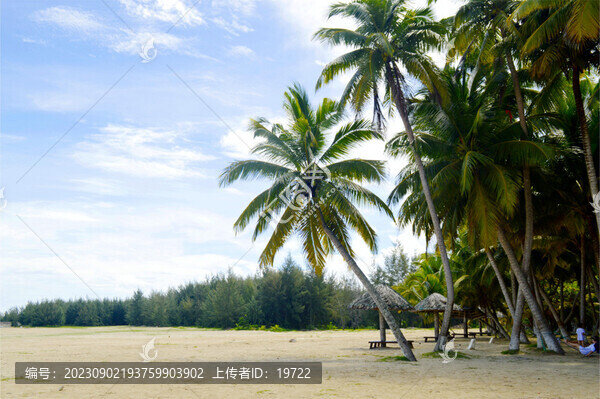 海南文昌椰林灣