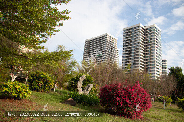 低角度花園建筑