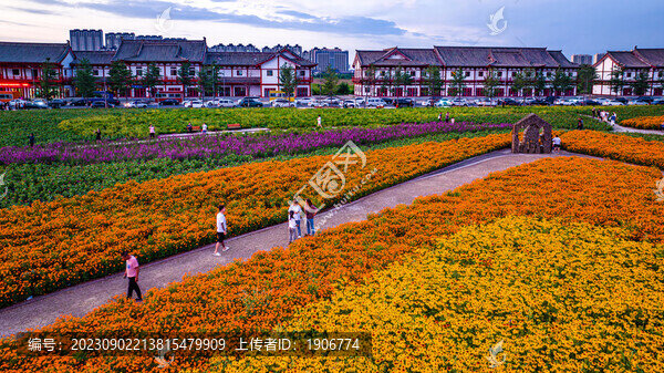中國長春北湖花海景觀
