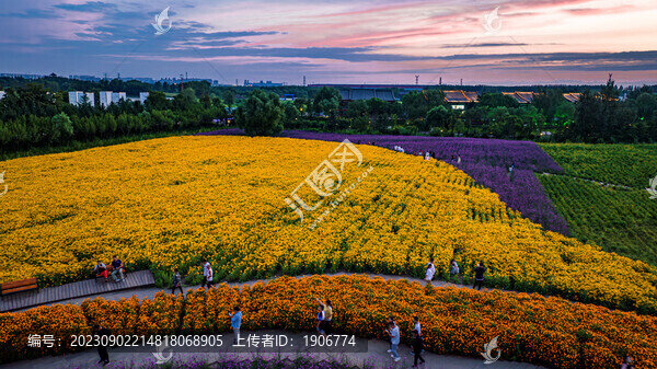 中國長春北湖花海景觀