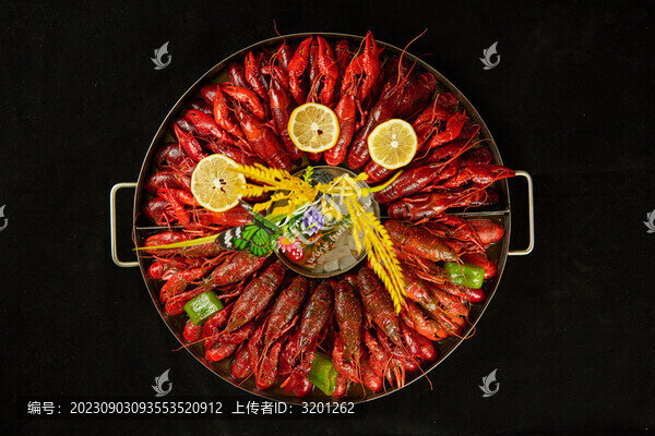 龍蝦