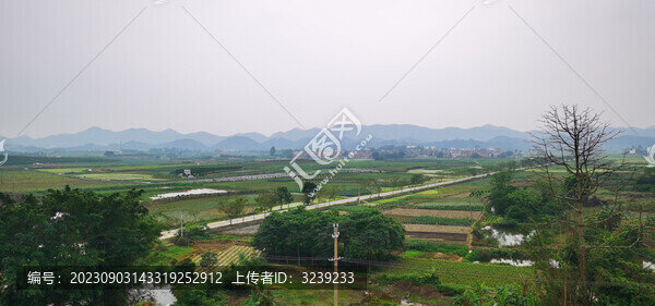 丘陵盆地田野