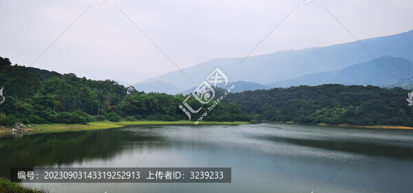 高山森林湖泊