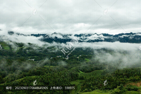 湖北恩施鶴峰木耳山茶園