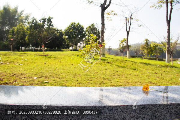 大理石凳子放著一朵黃色小花
