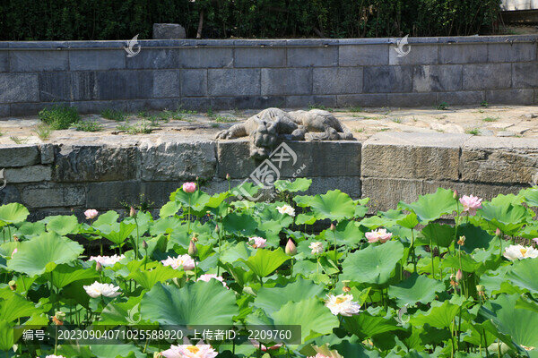北京萬寧橋鎮(zhèn)水獸