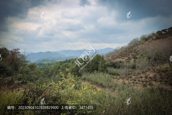 山林