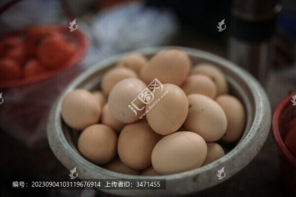 土雞蛋-匯圖網(wǎng) www.fosd68.com 土雞蛋