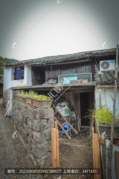 柿林村