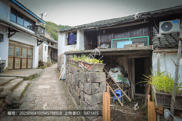 柿林村