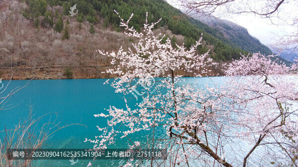 九寨溝