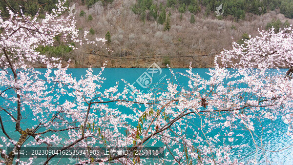 九寨溝
