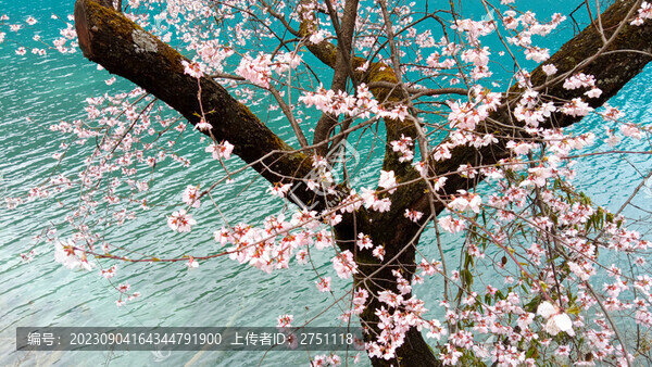 九寨溝