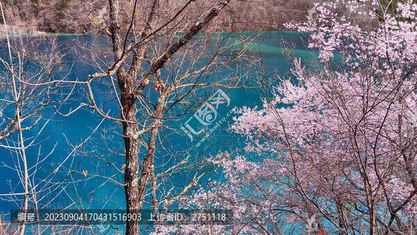 九寨溝