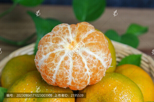 新鮮蜜桔
