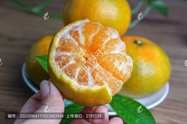青皮蜜桔