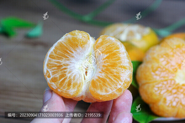 青皮蜜桔