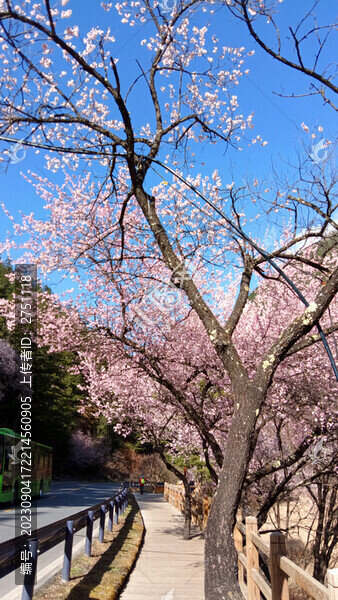 九寨溝