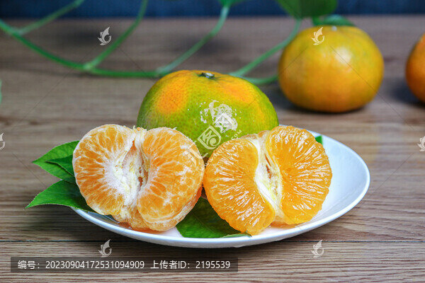 青皮橘子