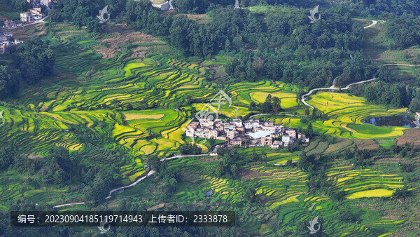 元陽梯田