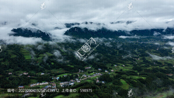 湖北恩施鶴峰木耳山茶園