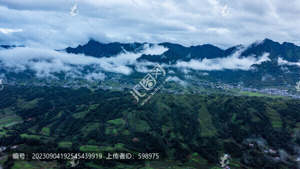 湖北恩施鶴峰木耳山茶園