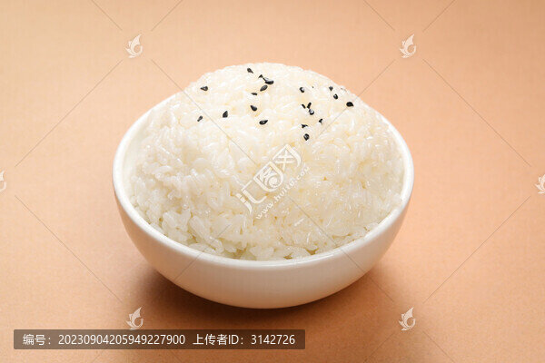 白米飯