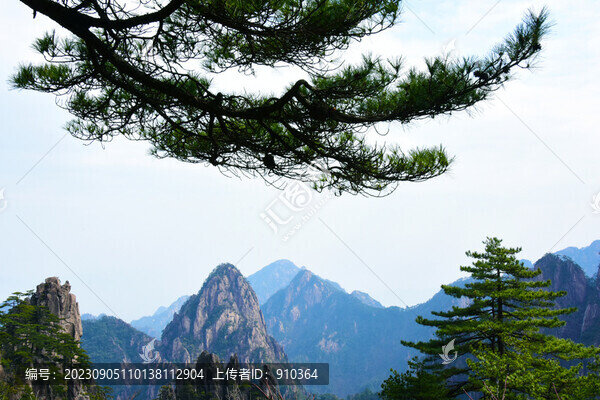 黃山