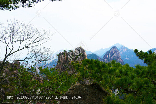 黃山
