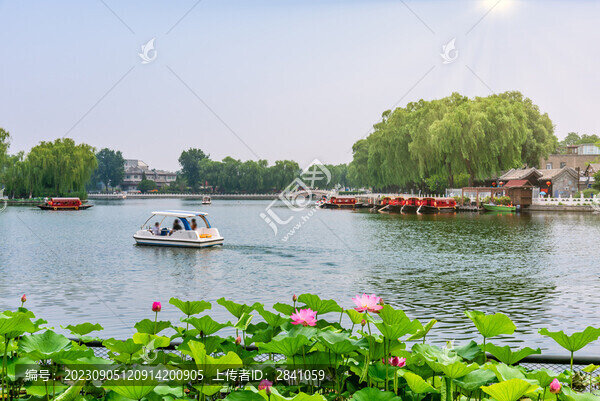 北京什剎海公園的荷花池