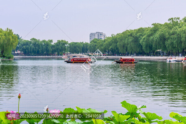 北京什剎海公園的荷花池