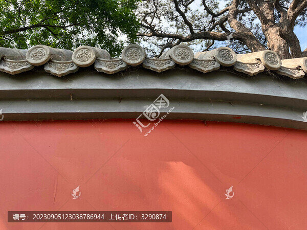 樹(shù)的影子落在一面紅色的墻壁上