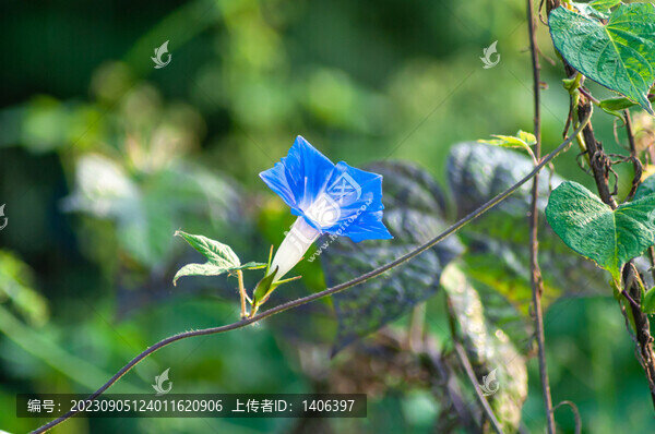 牽?；? title=