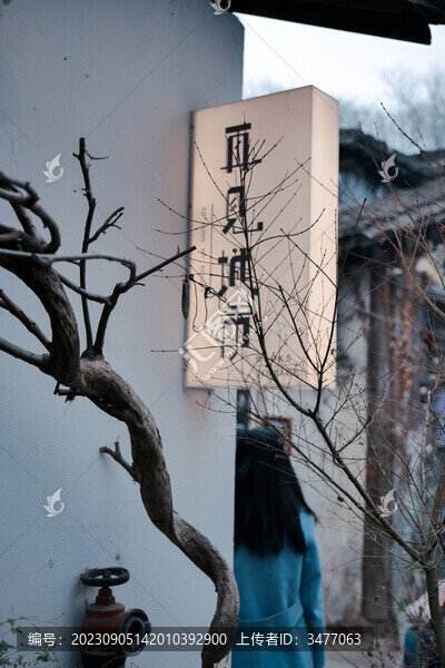 樹枝特寫