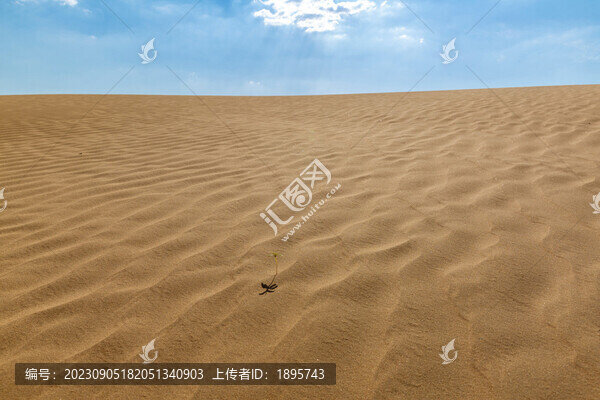 藍(lán)天下的沙漠風(fēng)光