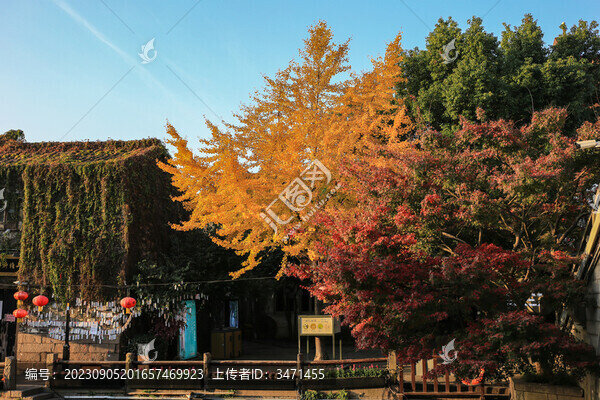 山塘街秋色
