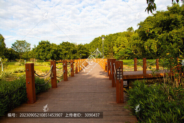 陽光下的胡桃色木板廊橋