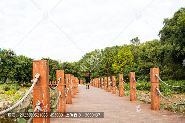 濕地公園上的胡桃色木板廊橋