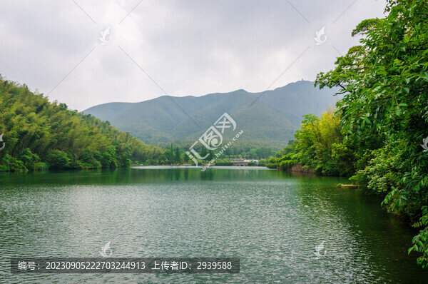 宜興竹海