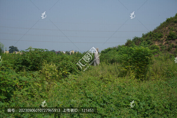 河南鞏義