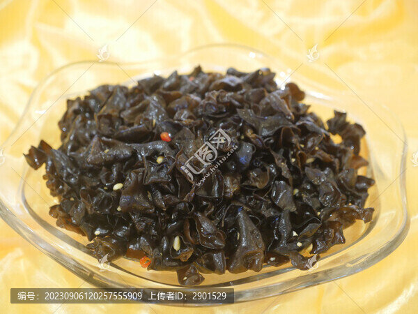 黑木耳