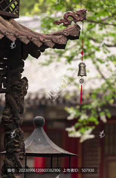 丁香花與古建筑