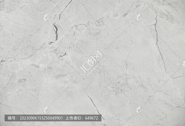 巴西魚(yú)肚白