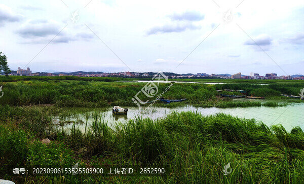 郊外河邊