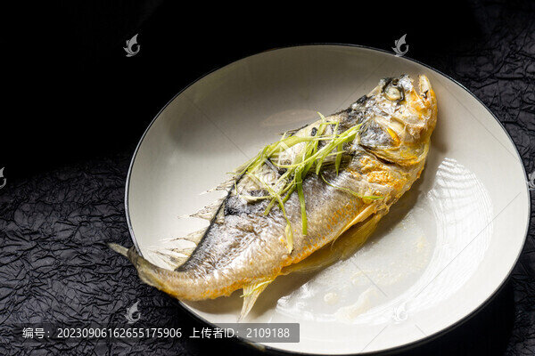 黃花魚