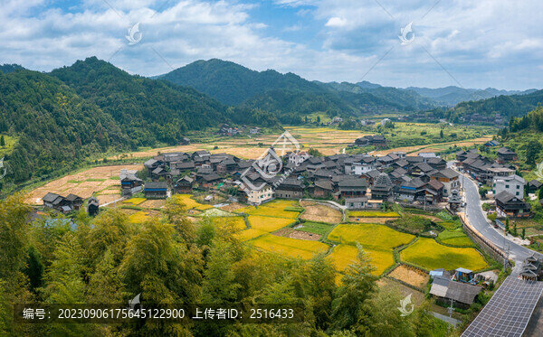 航拍湖南通道橫嶺侗寨秋收稻田